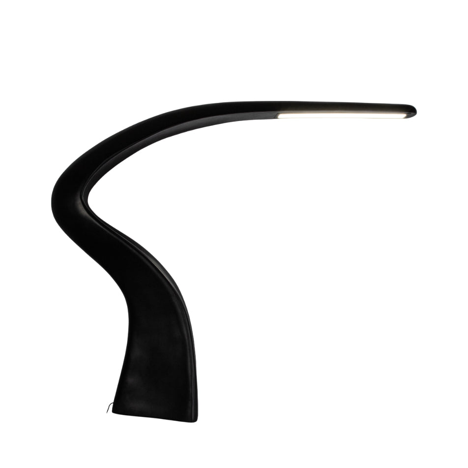 Fluten Black Modern Floor Lamp