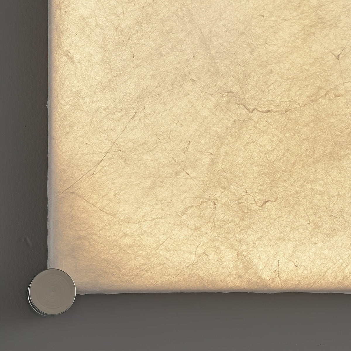Panel Rustic Silk Wall Light