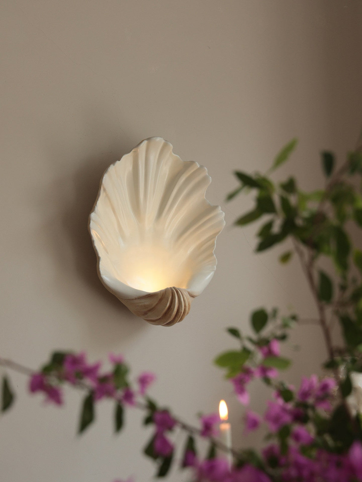 Shell Wall Sconce