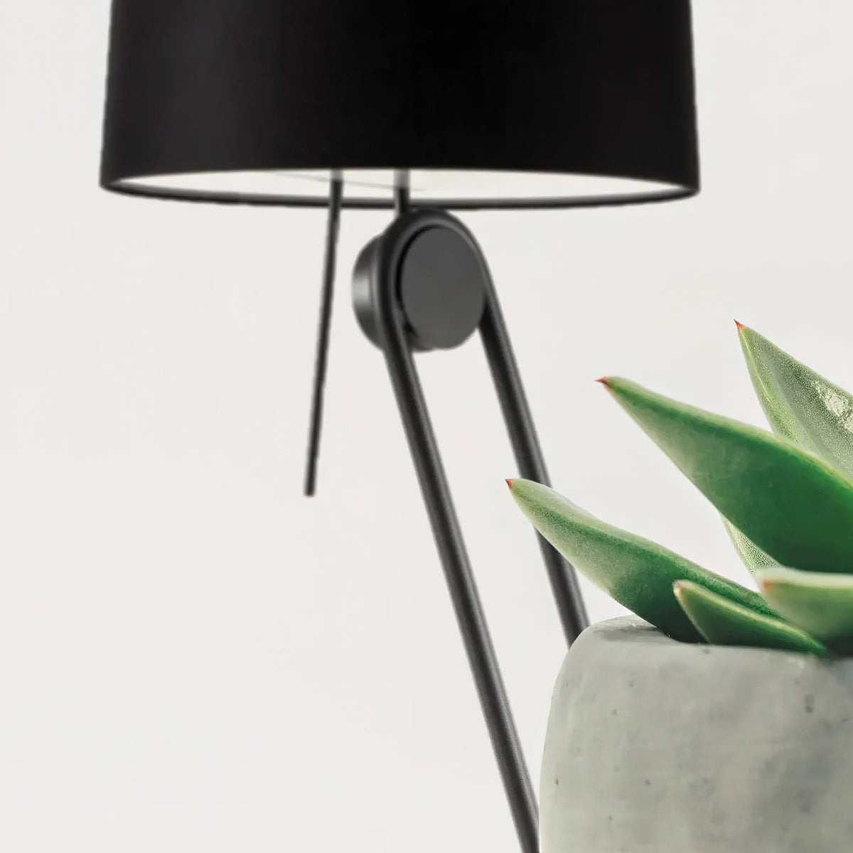 Zarina Minimalist Fabric Floor Lamp