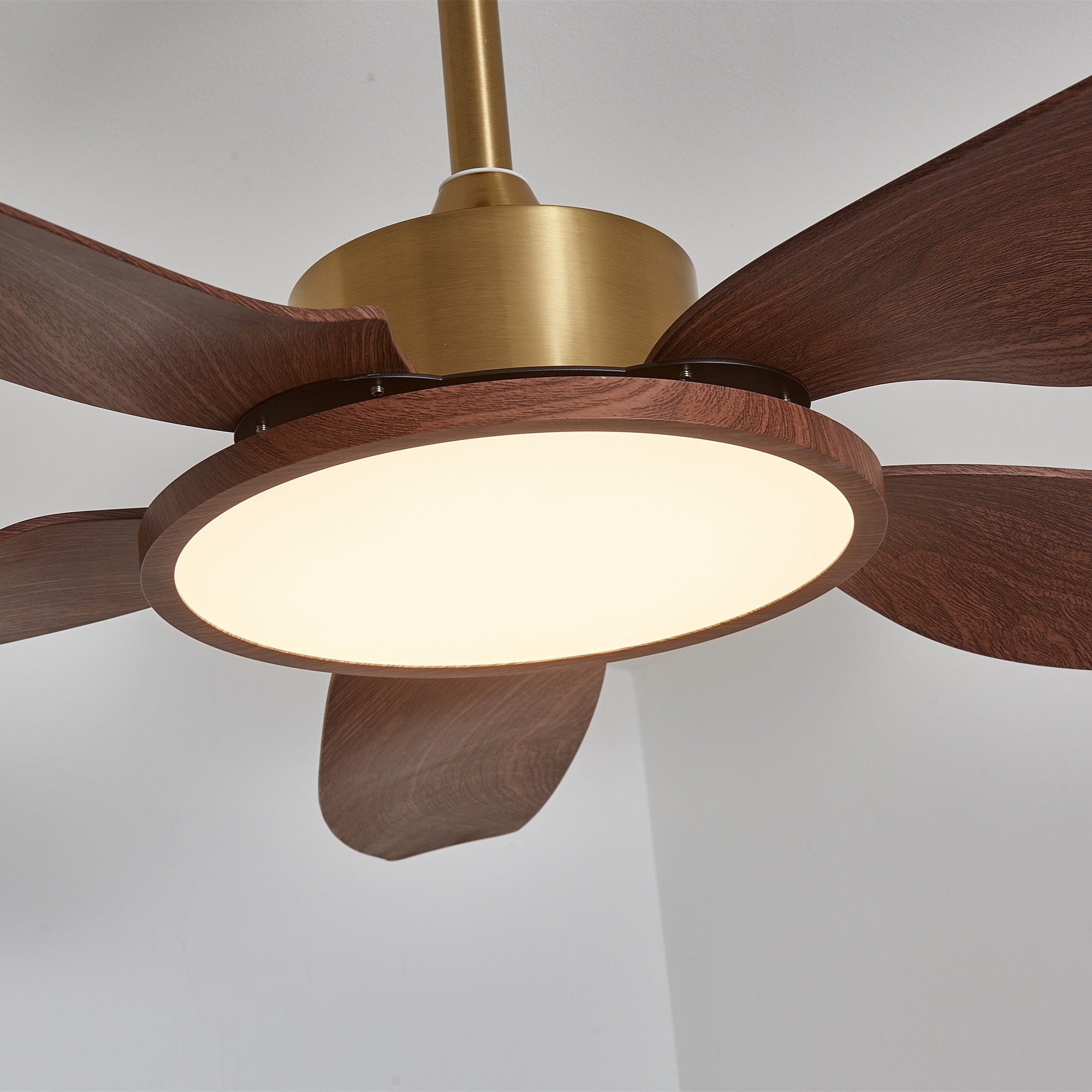 Aurelia Modern Wood Brass Ceiling Fan Light - Neutral Decor