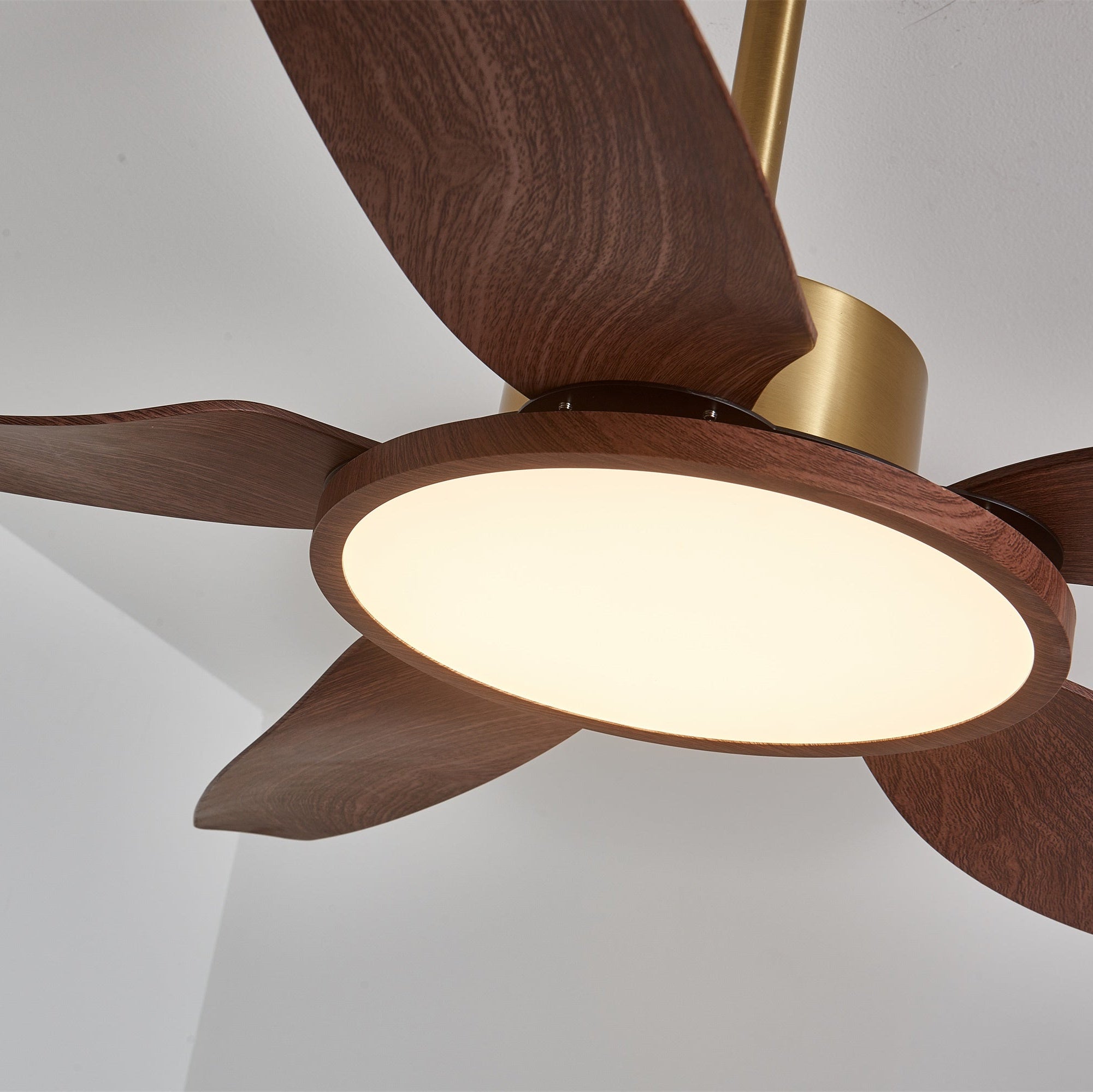 Orla Modern Wood Brass Ceiling Fan Light