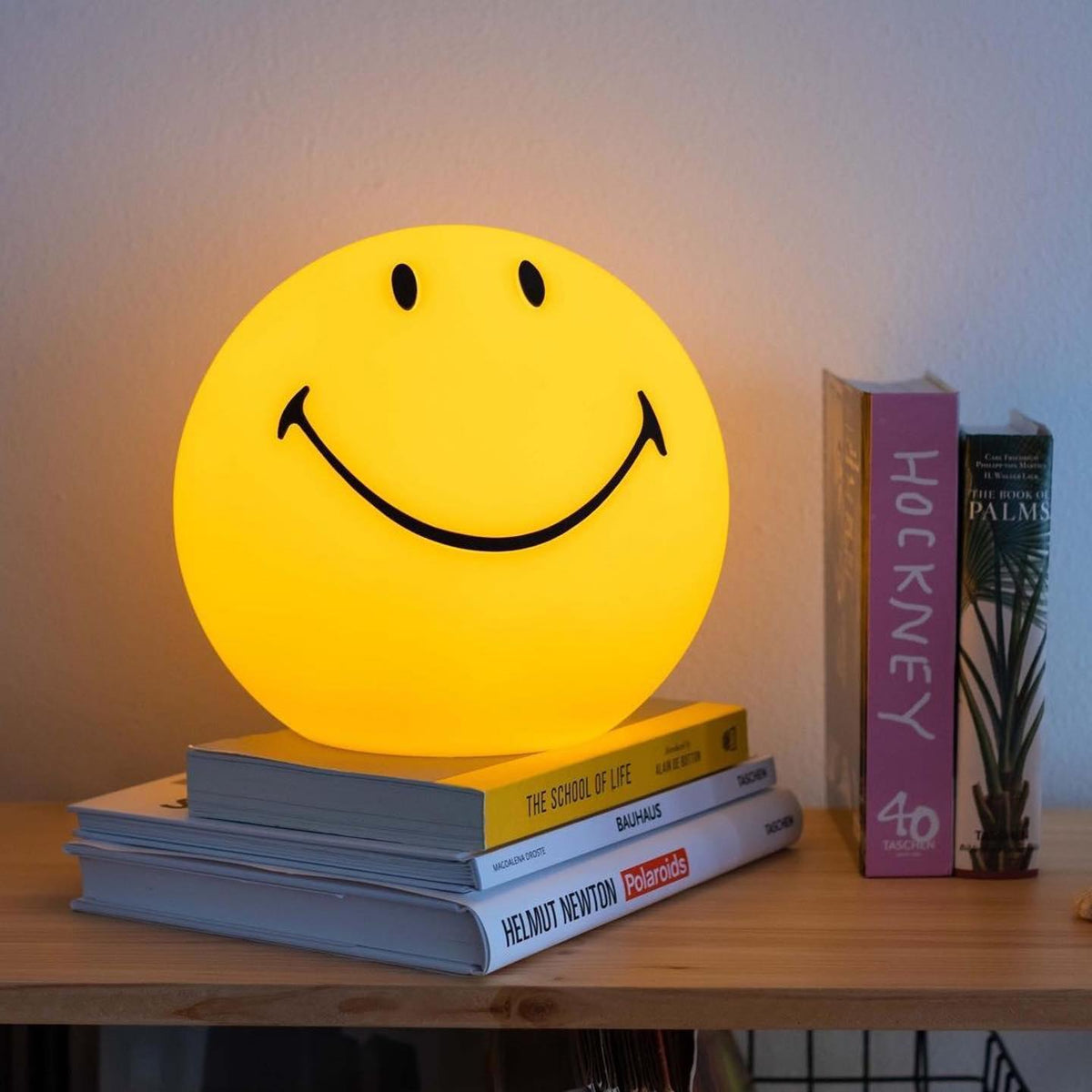 Rymt Plastic Whimsical Table Lamp