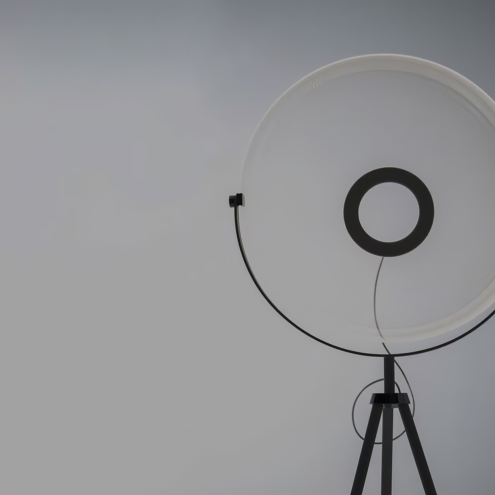 Zasolyra Tripod Floor Lamp