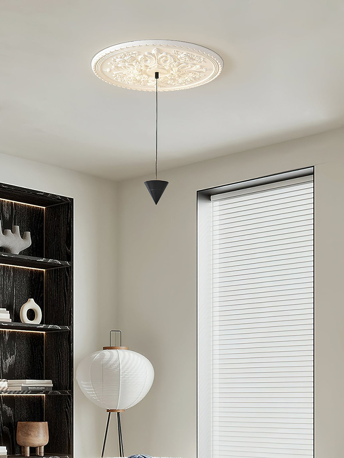 Hosian Minimalist Acrylic Pendant Lamp