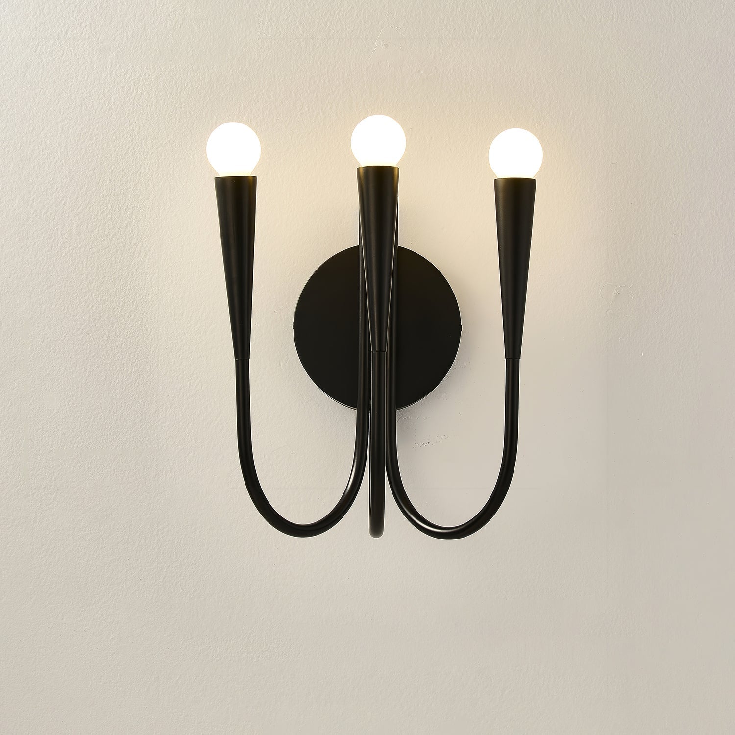 Eoveth Premium Elegance Arm Glass Wall Lamp