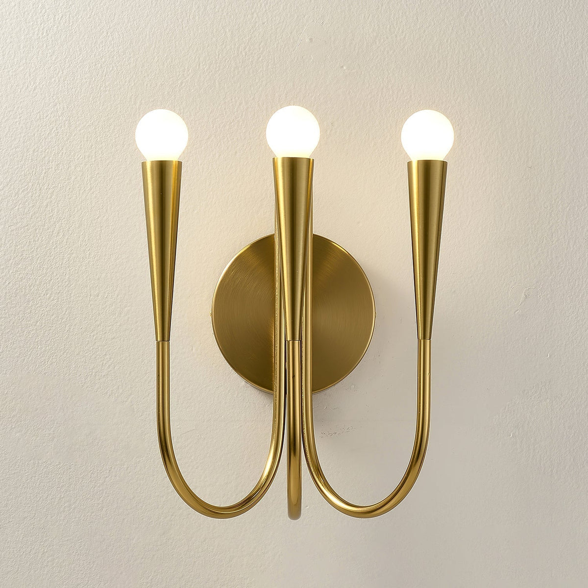 Eoveth Premium Elegance Arm Glass Wall Lamp