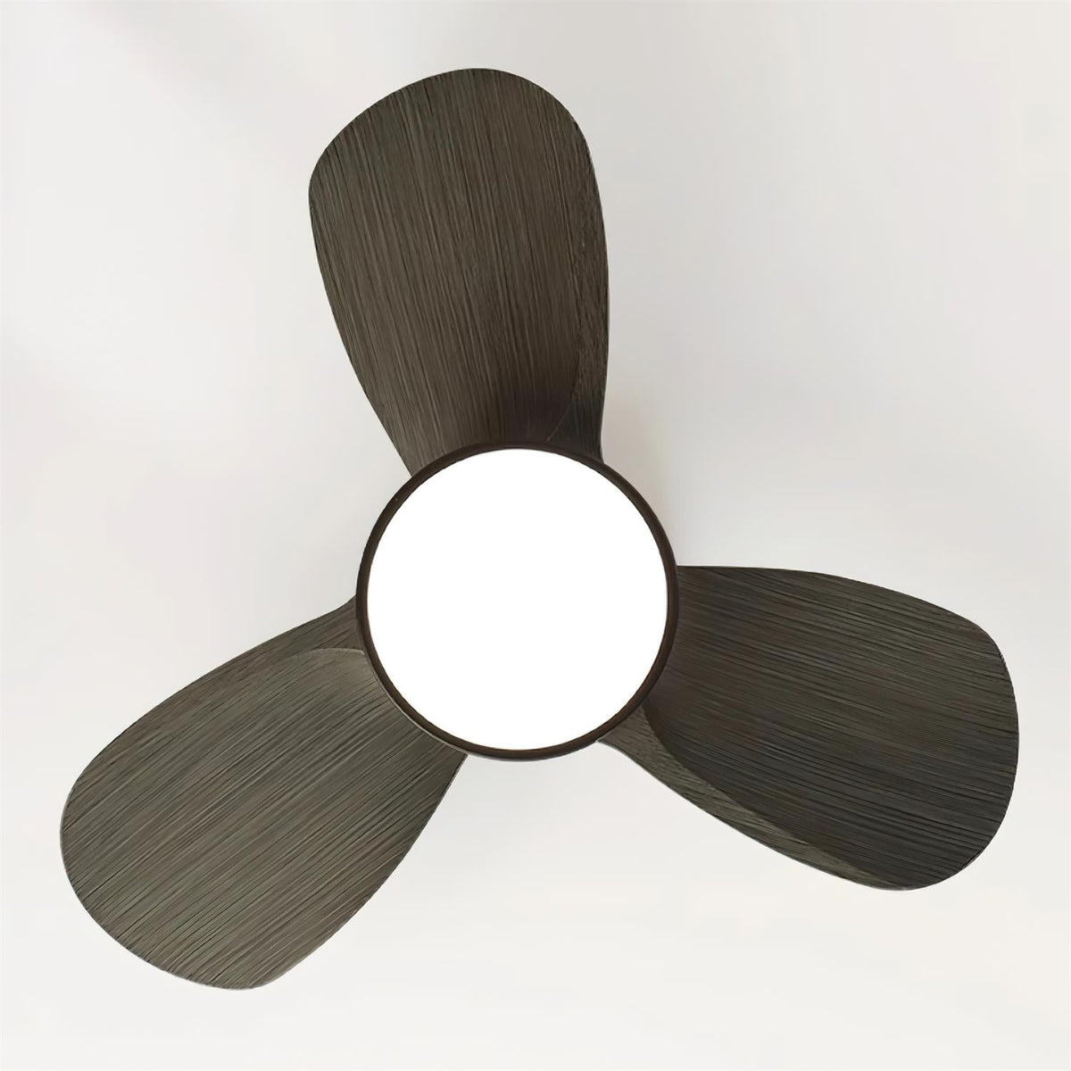 Rinerel Modern Wood Ceiling Fan Light