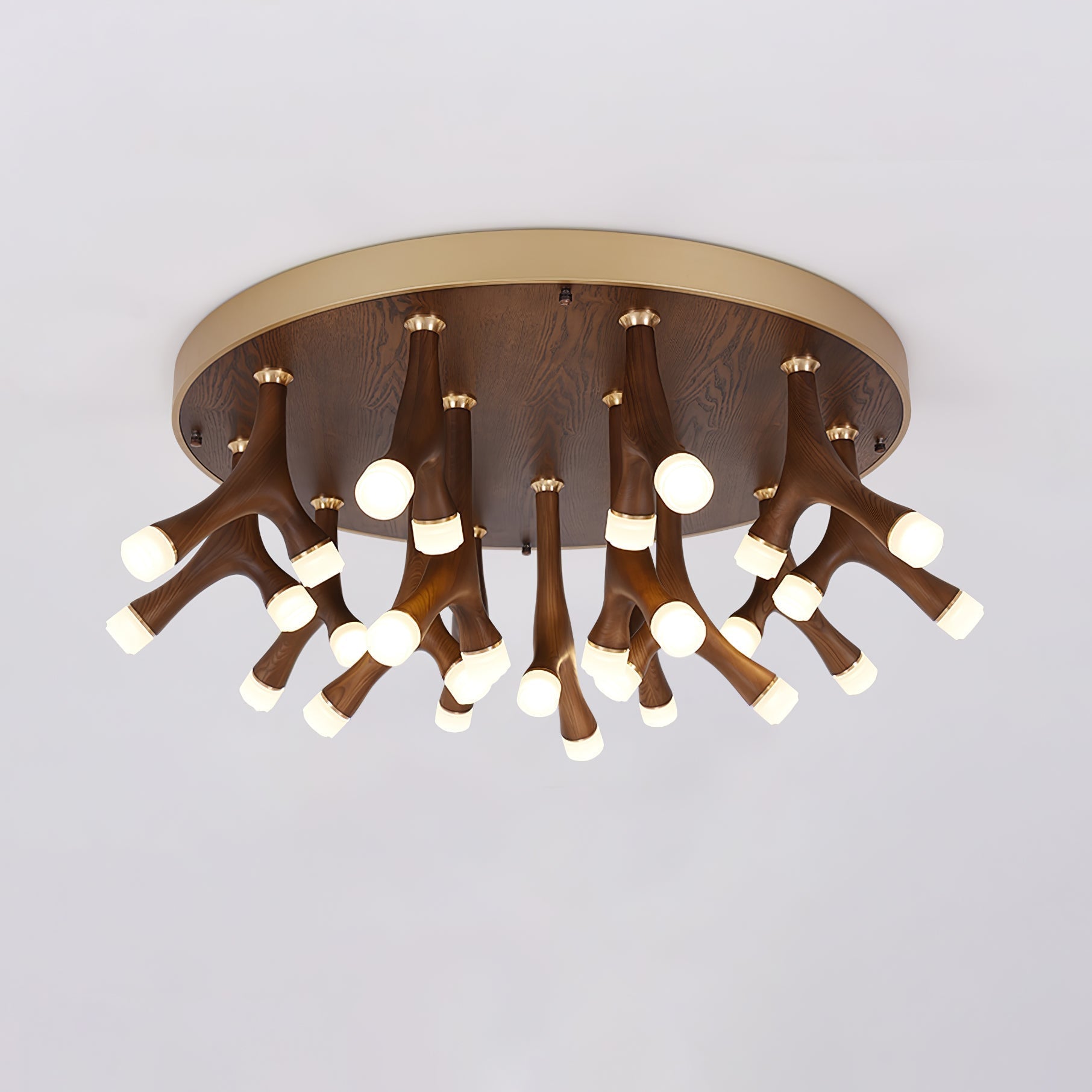 Vilorion Nature-Inspired Wood Ceiling Light