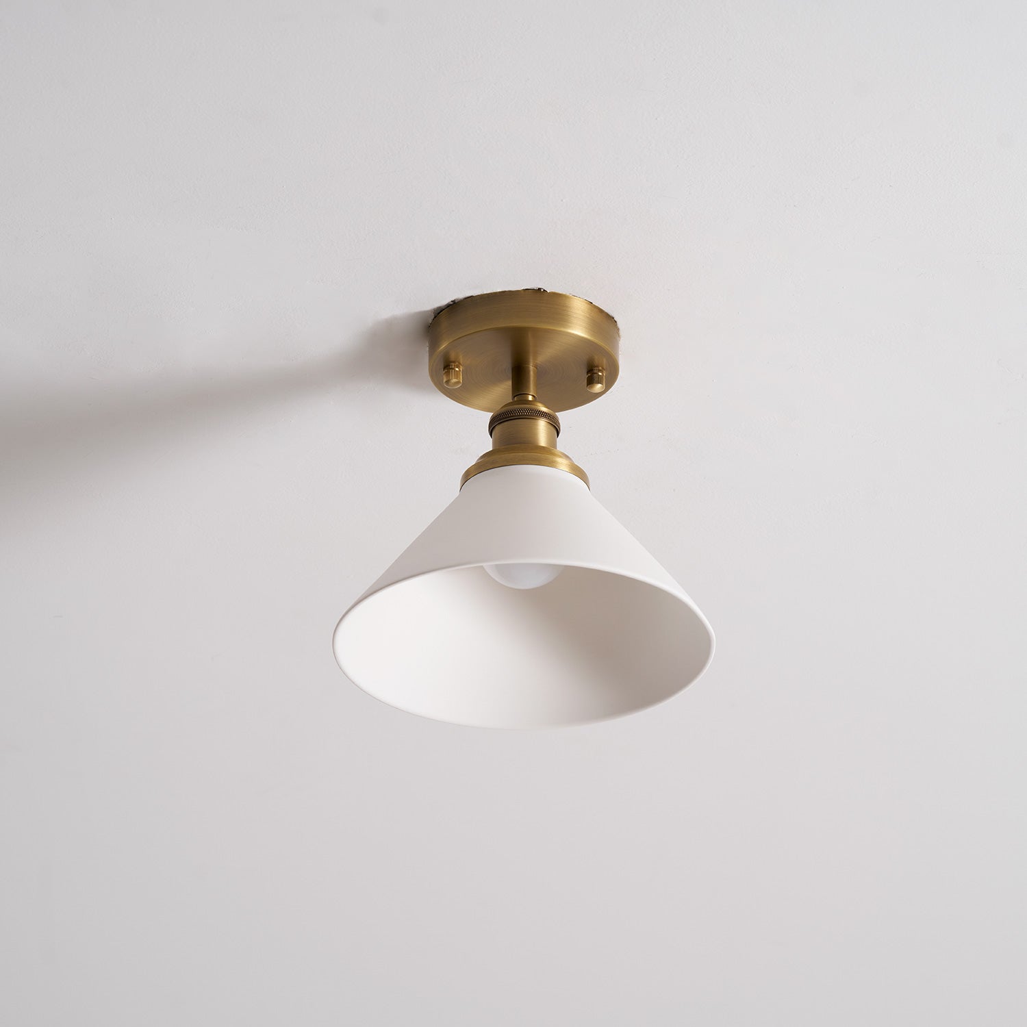 Aureleon Brass Minimalist Design Ceiling Lamp