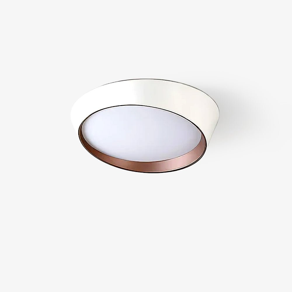 Arixa Modern Minimalist Ceiling Lamp