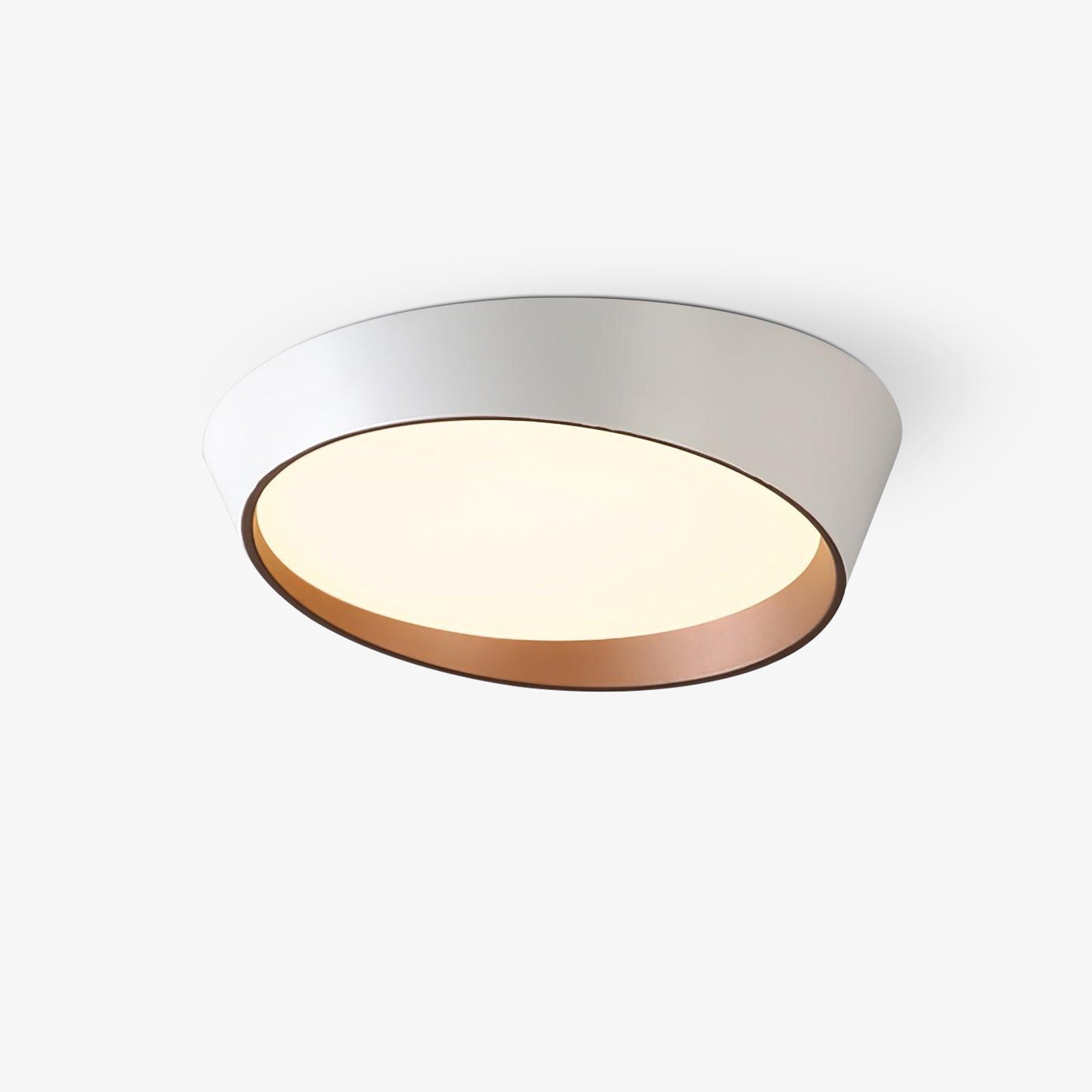 Arixa Modern Minimalist Ceiling Lamp