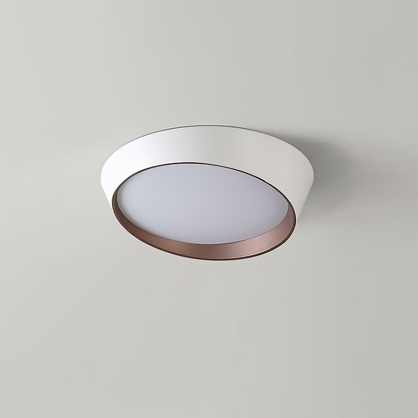 Arixa Modern Minimalist Ceiling Lamp
