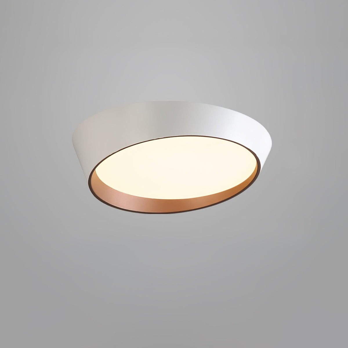 Arixa Modern Minimalist Ceiling Lamp
