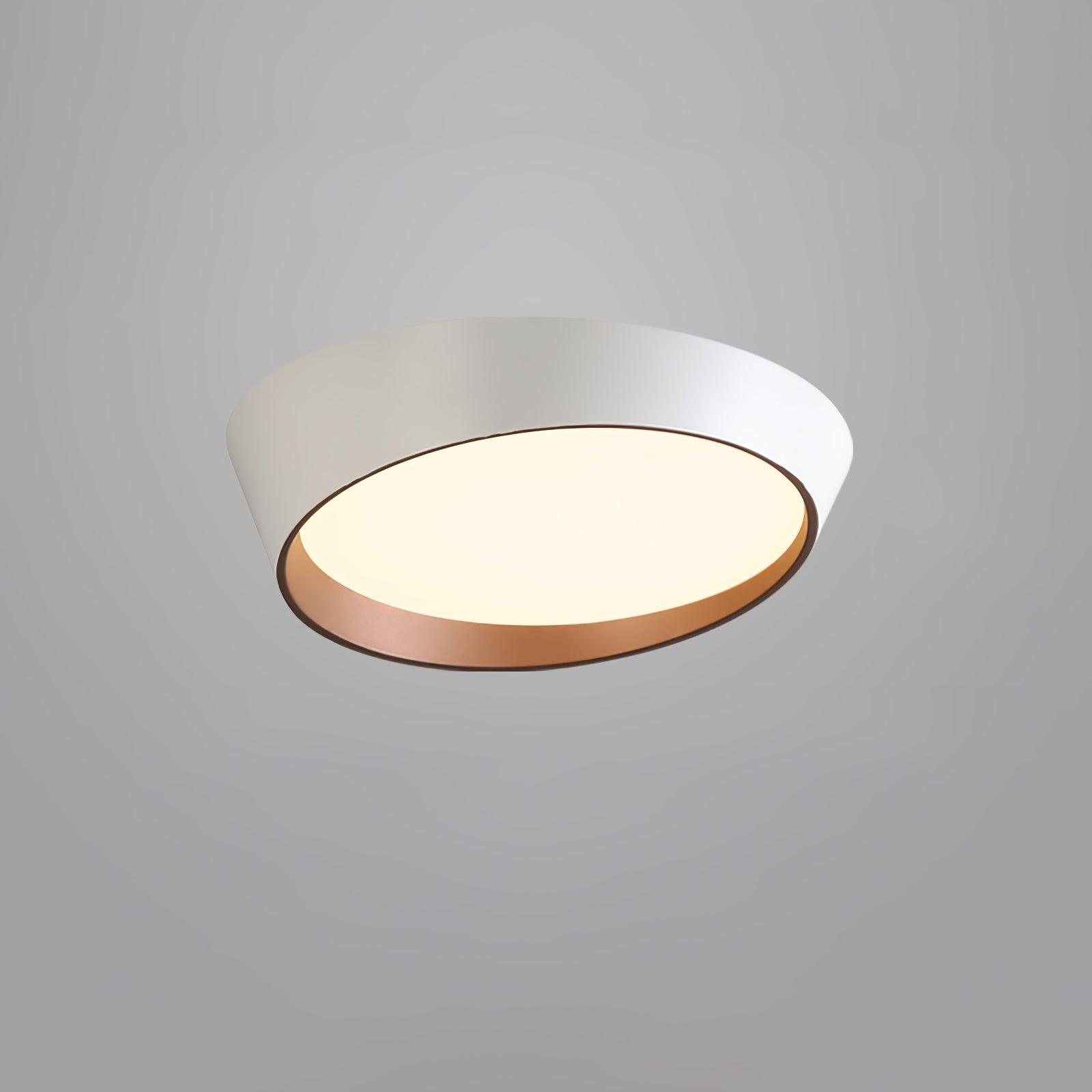 Arixa Modern Minimalist Ceiling Lamp