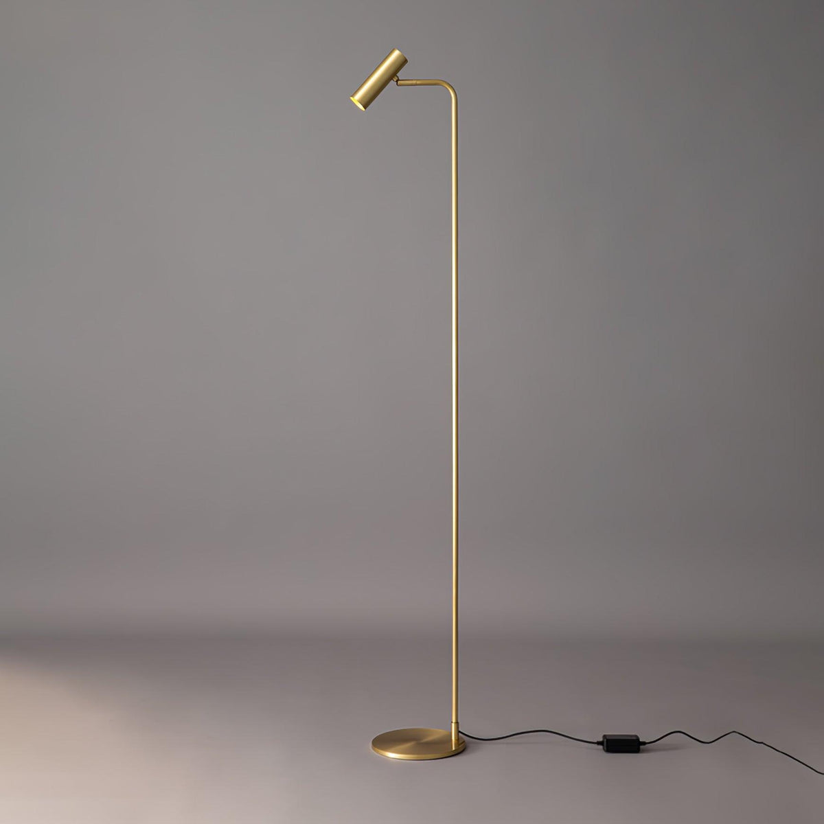 Nirixa Brass Industrial Floor Lamp