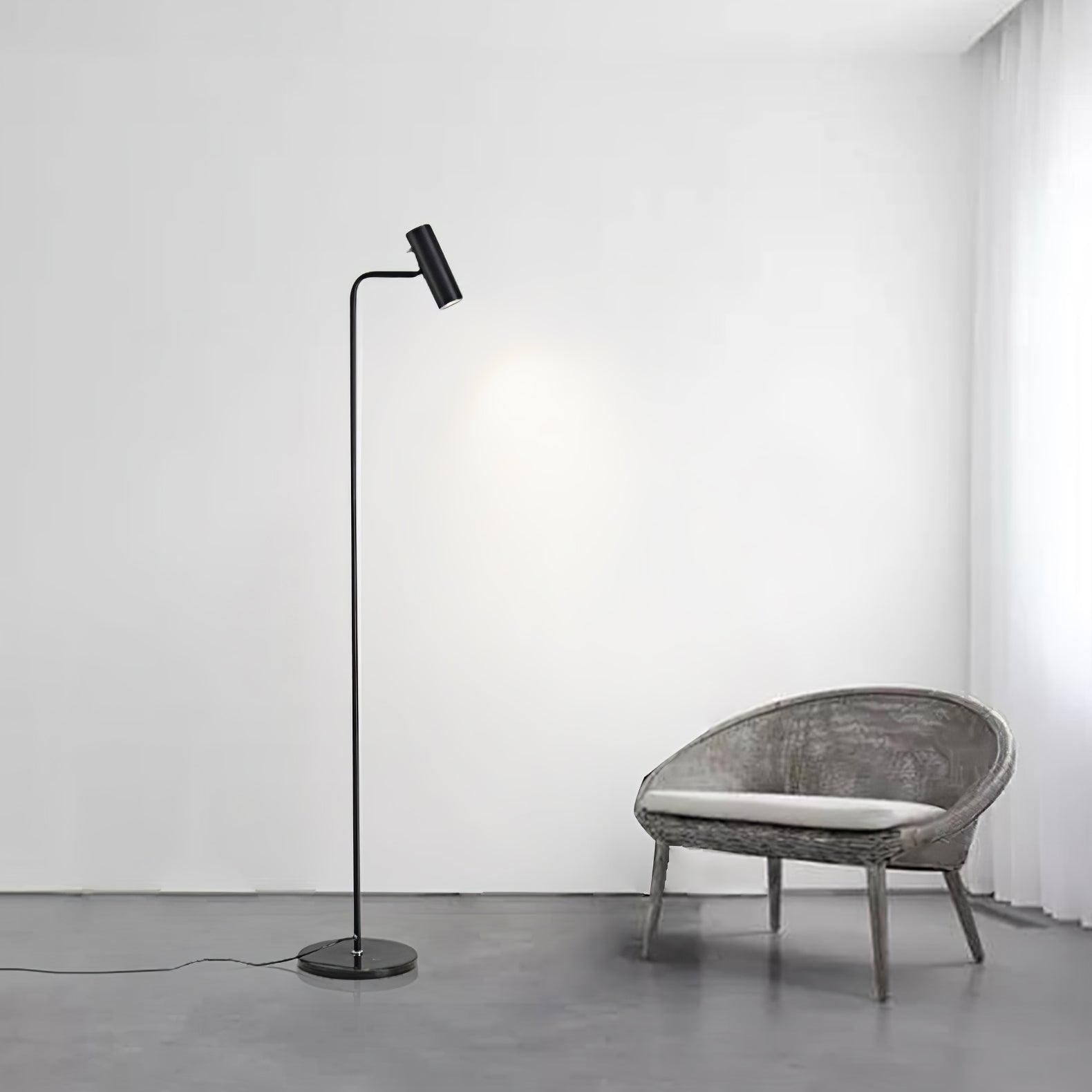 Nirixa Brass Industrial Floor Lamp