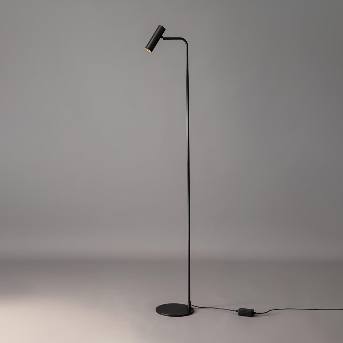 Nirixa Brass Industrial Floor Lamp