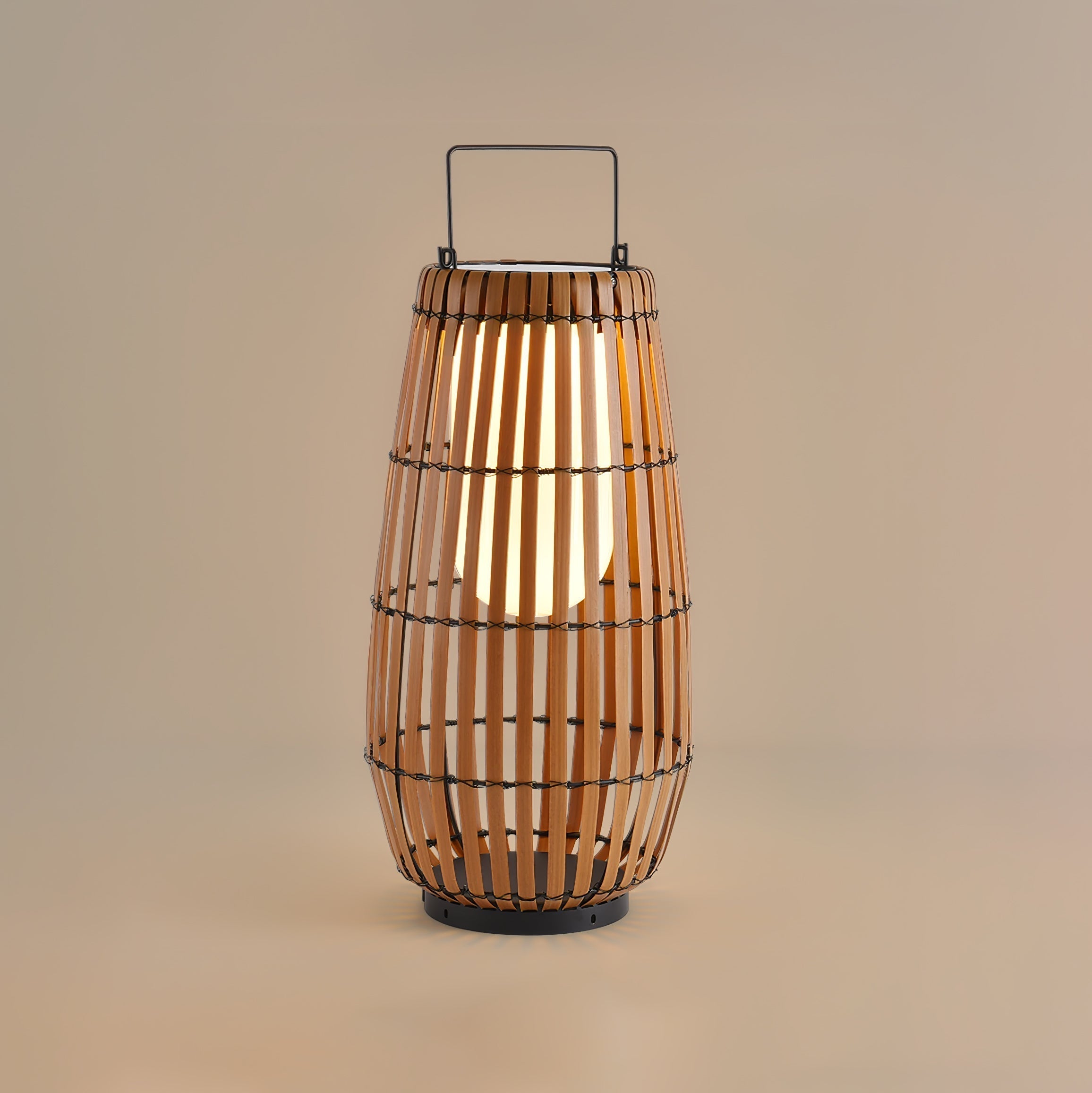Veshael Tropic Braid Lantern Outdoor Lamp