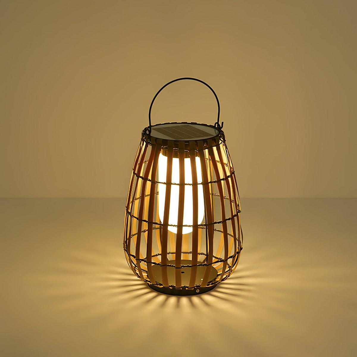 Veshael Tropic Braid Lantern Outdoor Lamp