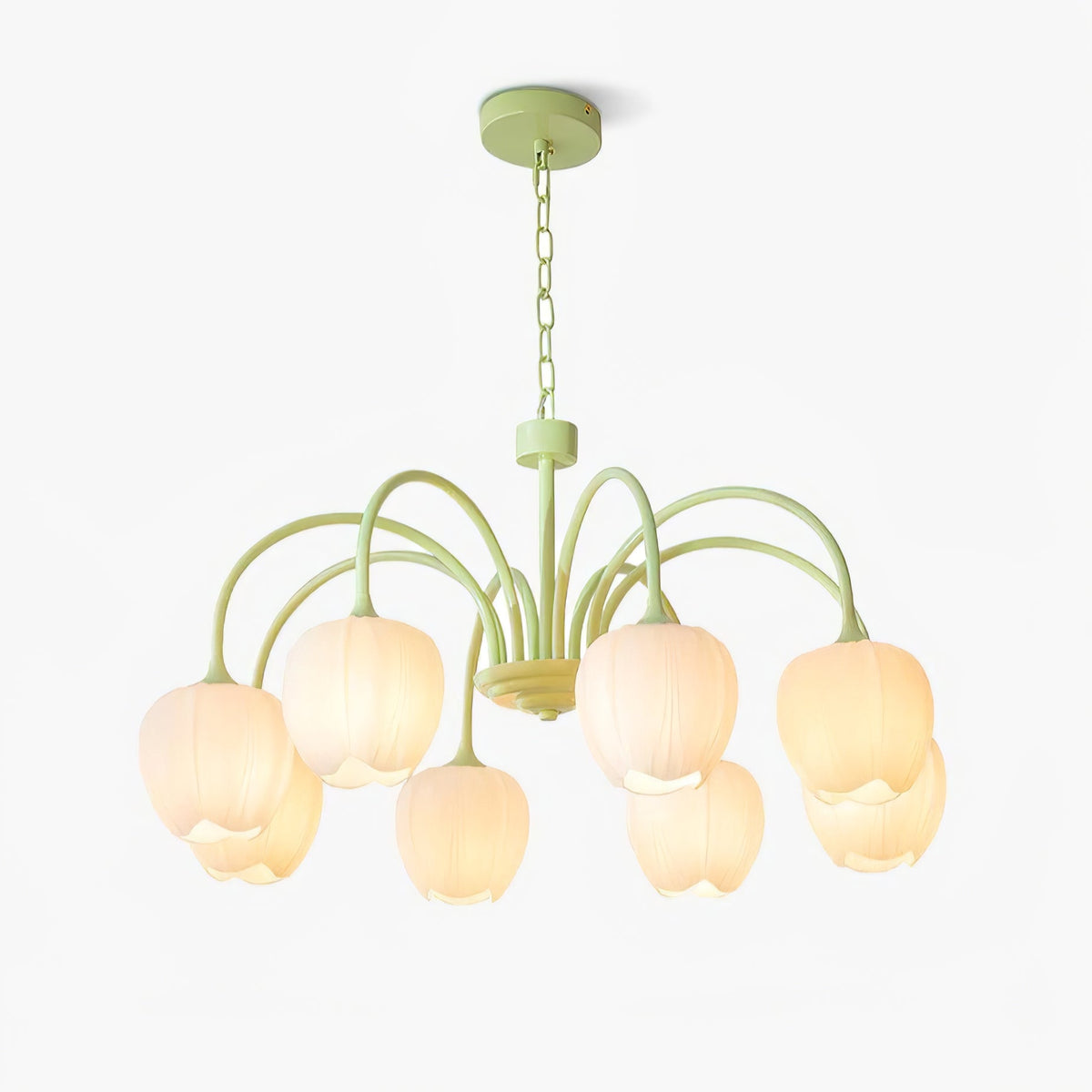 Fairmere Tulip Matcha Chandelier