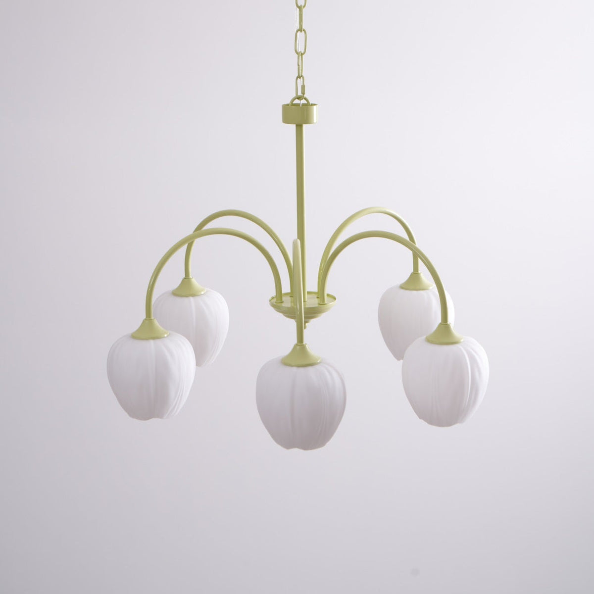 Fairmere Tulip Matcha Chandelier