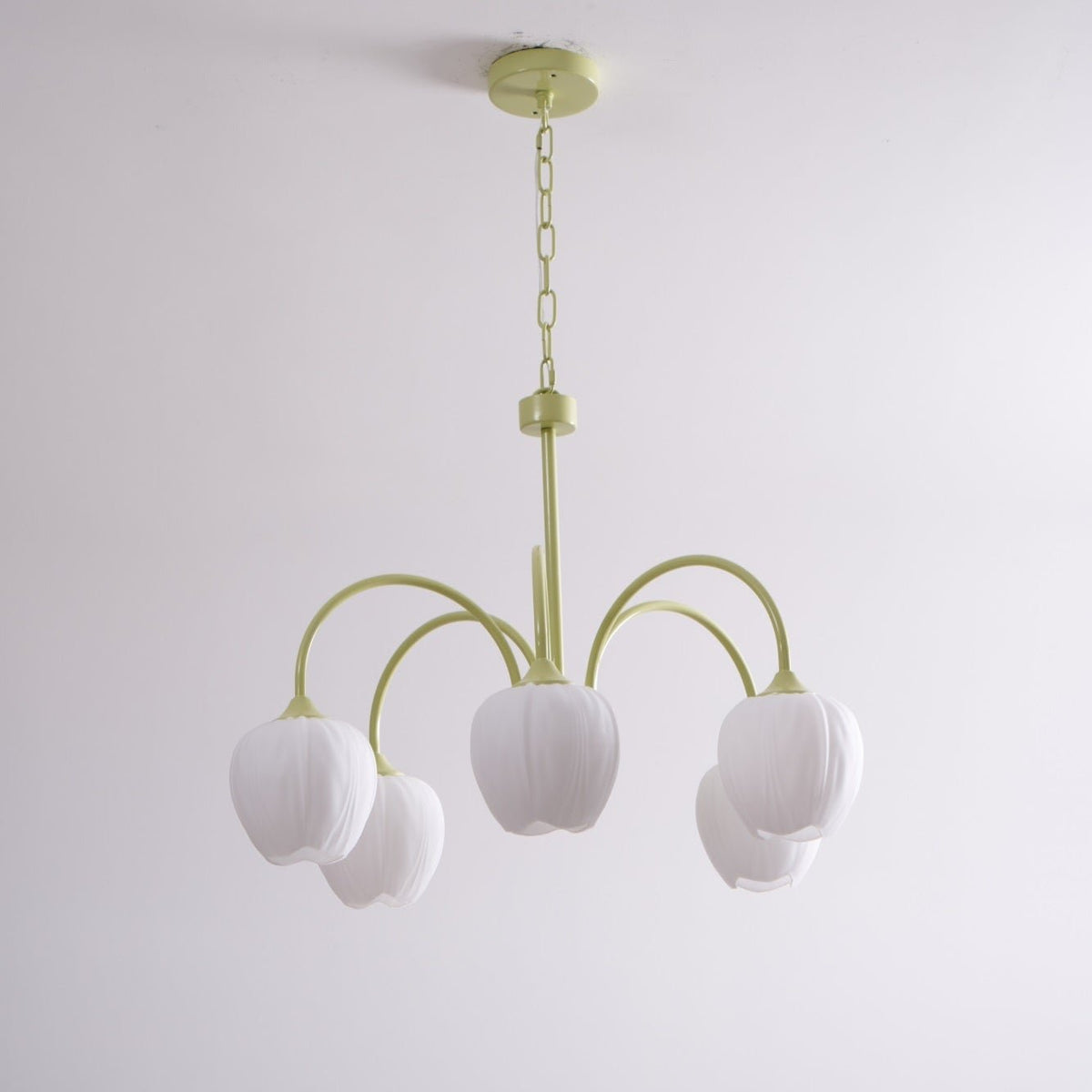 Fairmere Tulip Matcha Chandelier