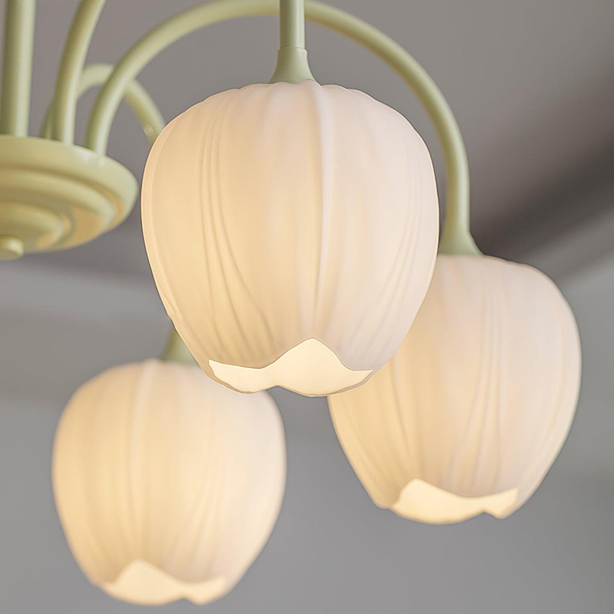 Fairmere Tulip Matcha Chandelier
