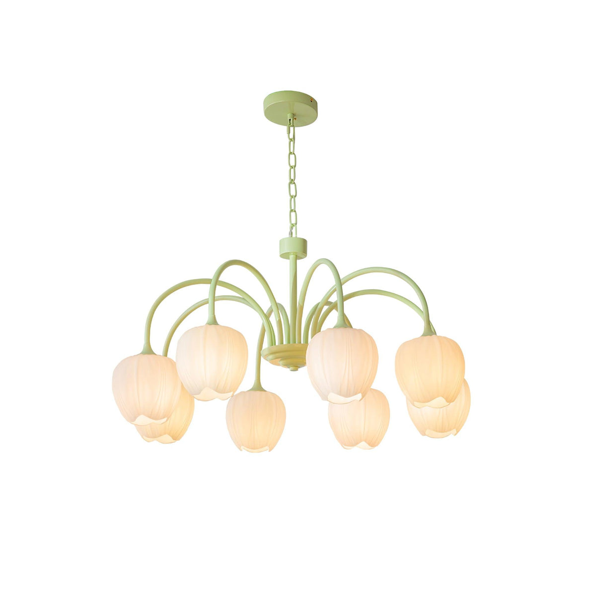 Fairmere Tulip Matcha Chandelier