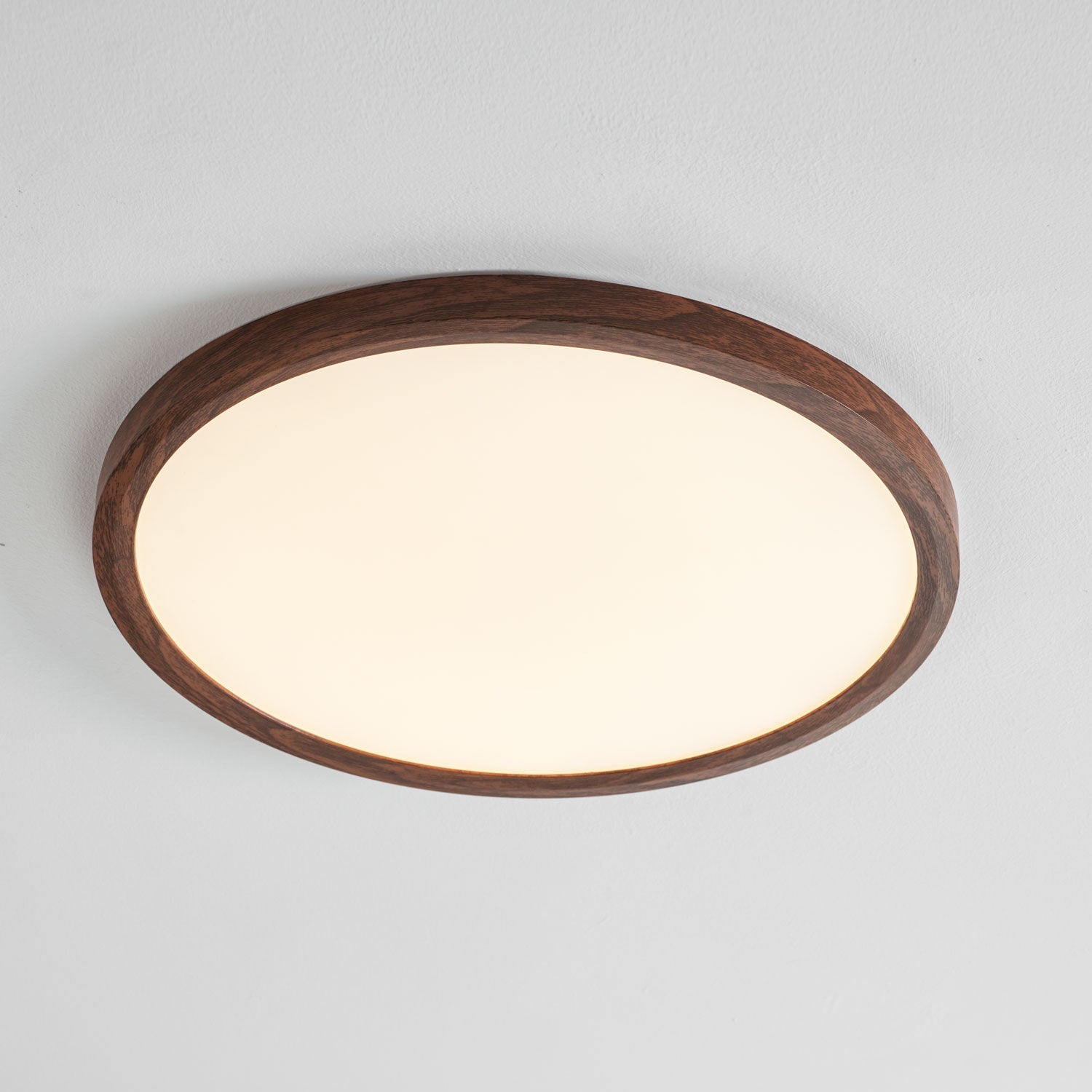 Roseborne Ultrathin Round Flush Mount Ceiling Light