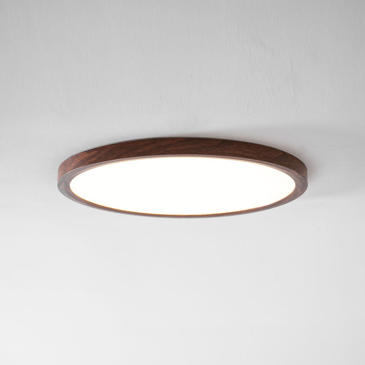 Roseborne Ultrathin Round Flush Mount Ceiling Light