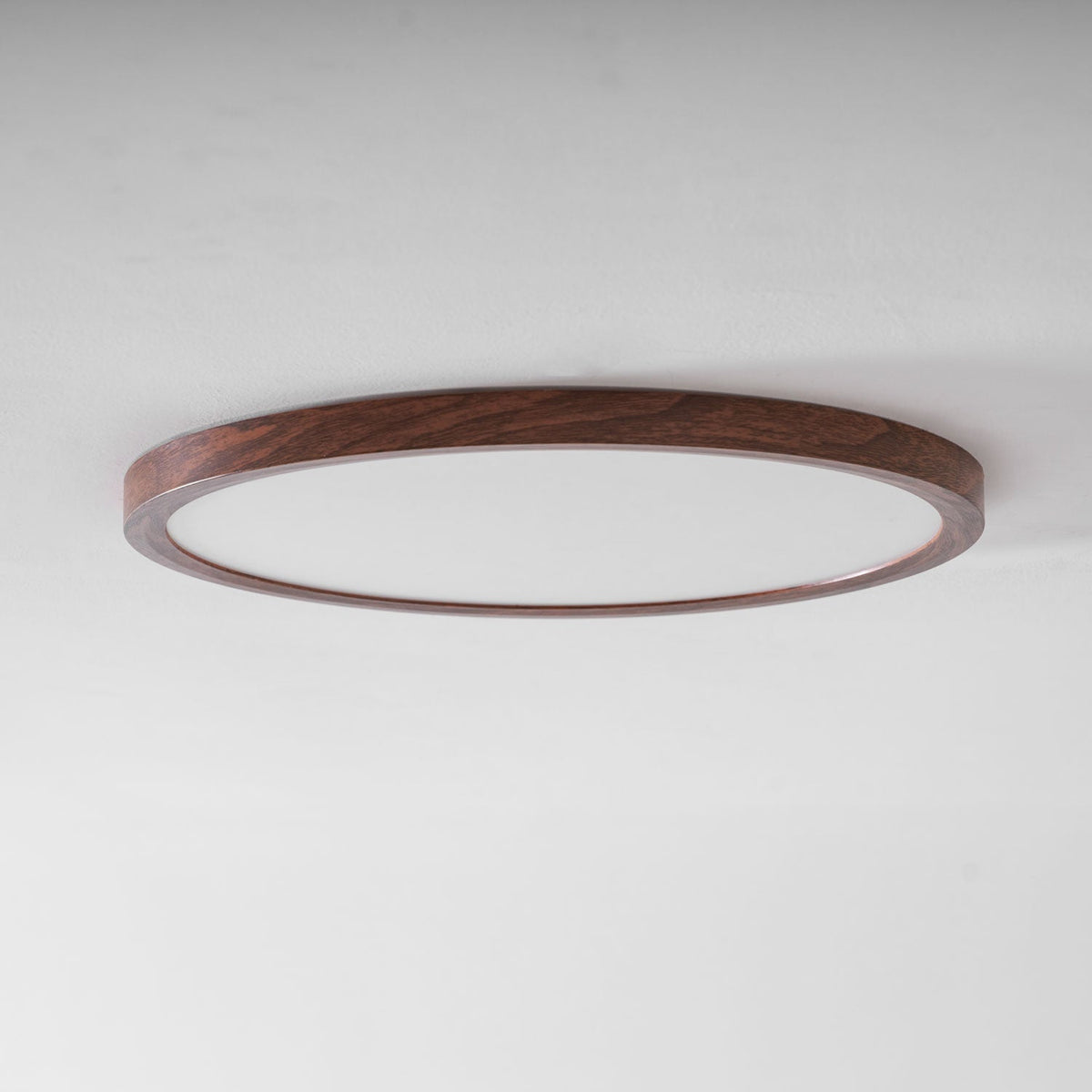 Roseborne Ultrathin Round Flush Mount Ceiling Light