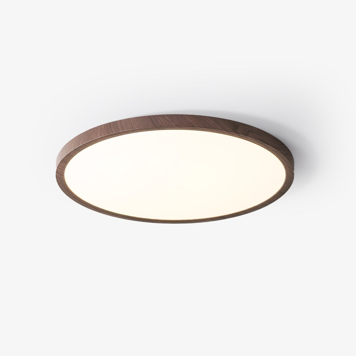 Roseborne Ultrathin Round Flush Mount Ceiling Light