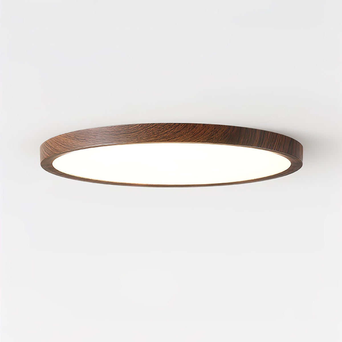 Roseborne Ultrathin Round Flush Mount Ceiling Light