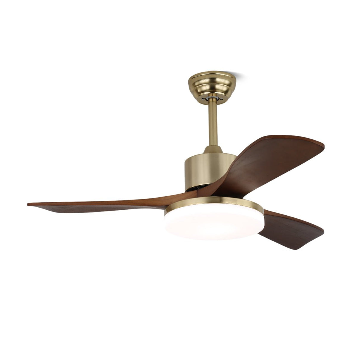 Selora Brass Wood Ceiling Fan Light
