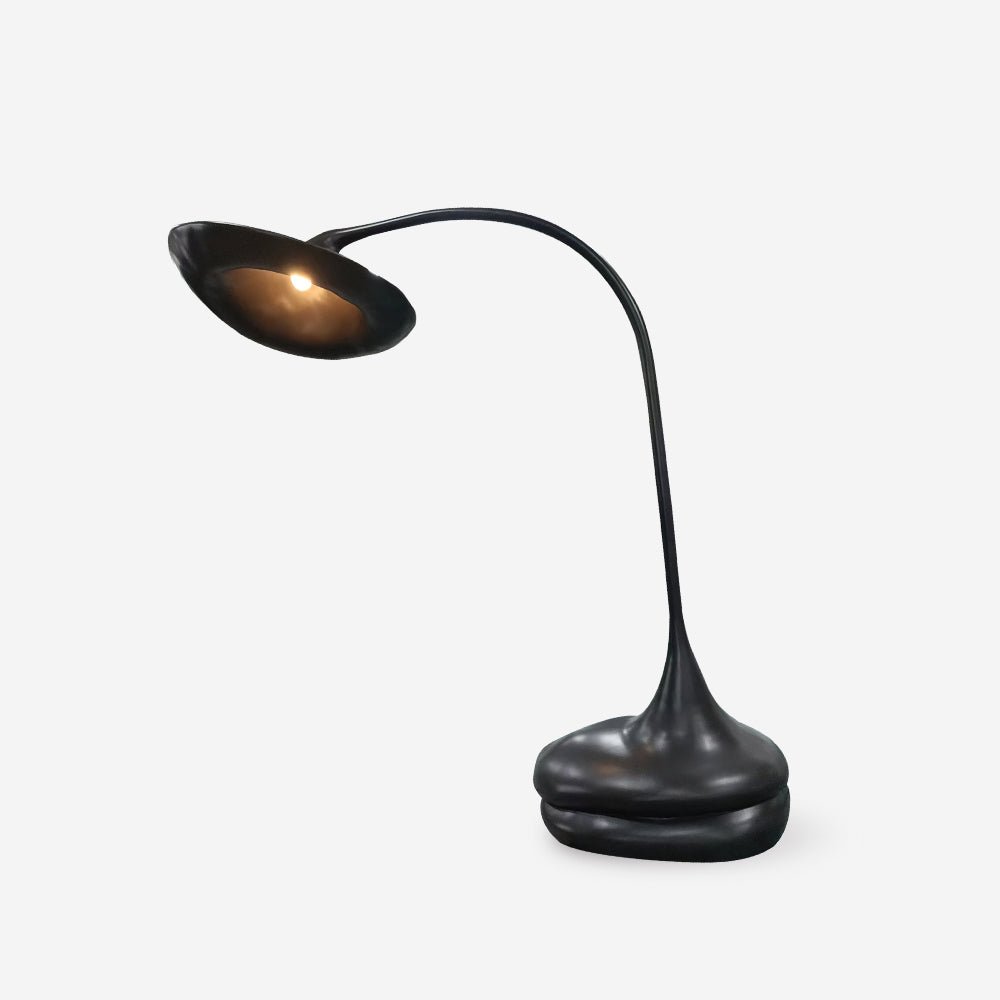 Elsilora Curved Black Desk Lamp