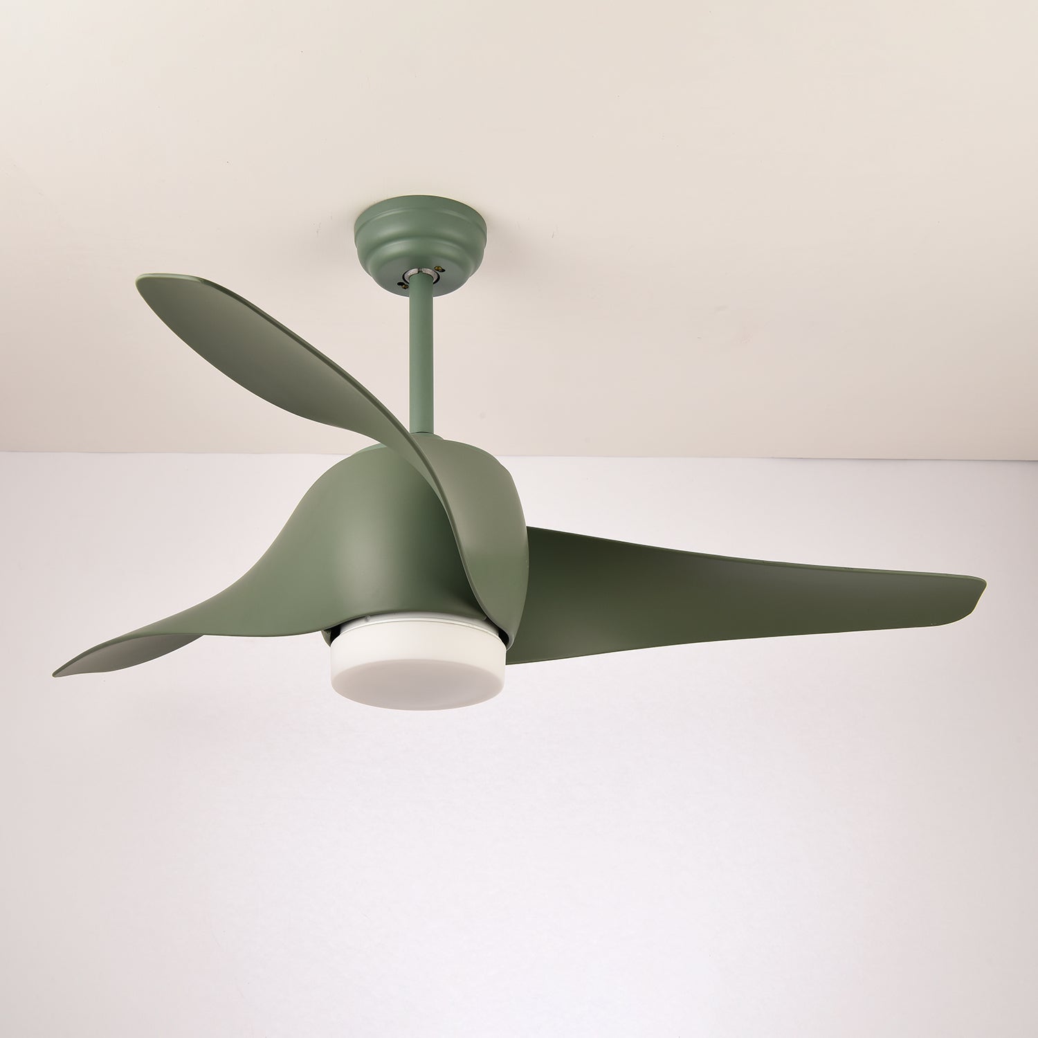 Cirivella Ceiling Fan Light