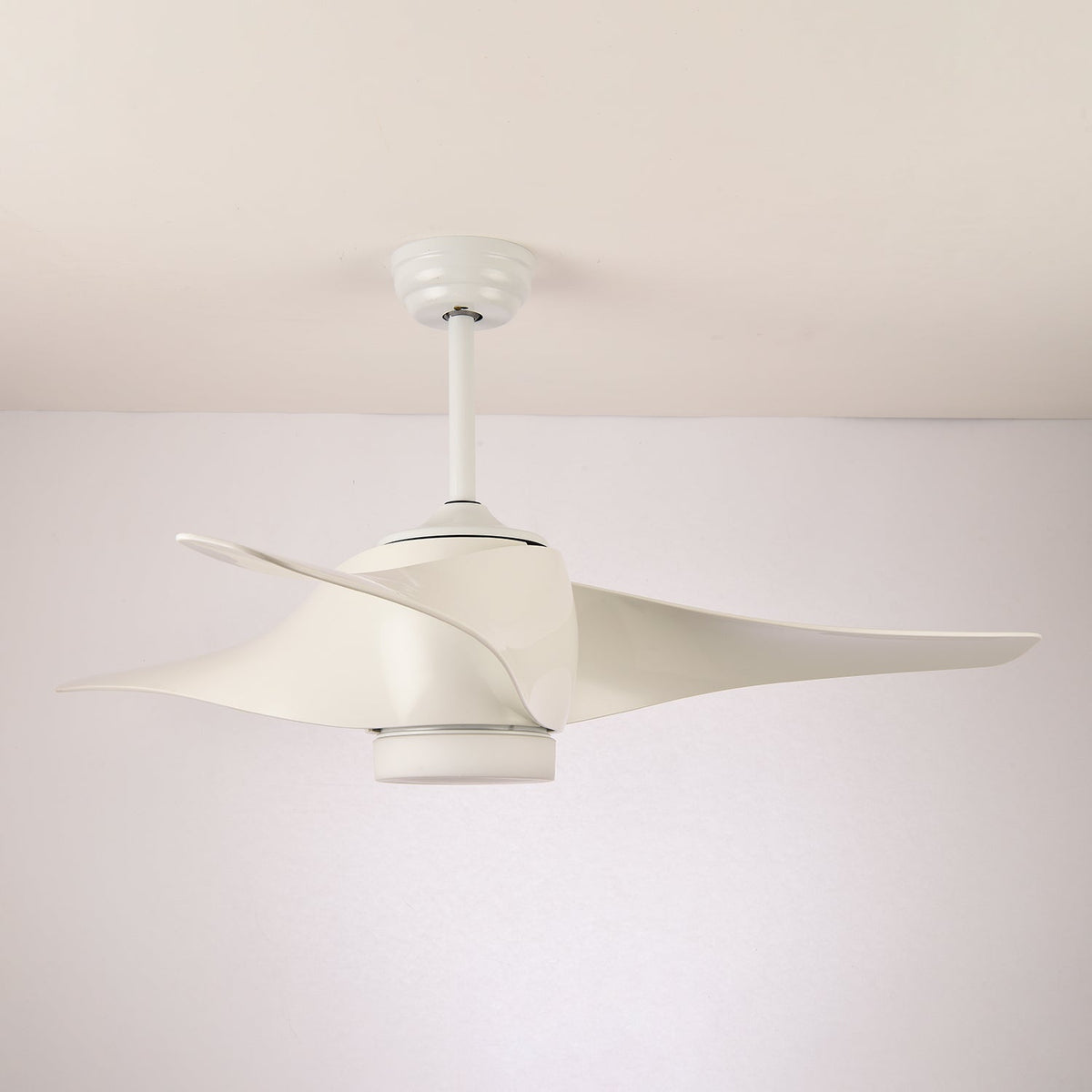 Cirivella Ceiling Fan Light