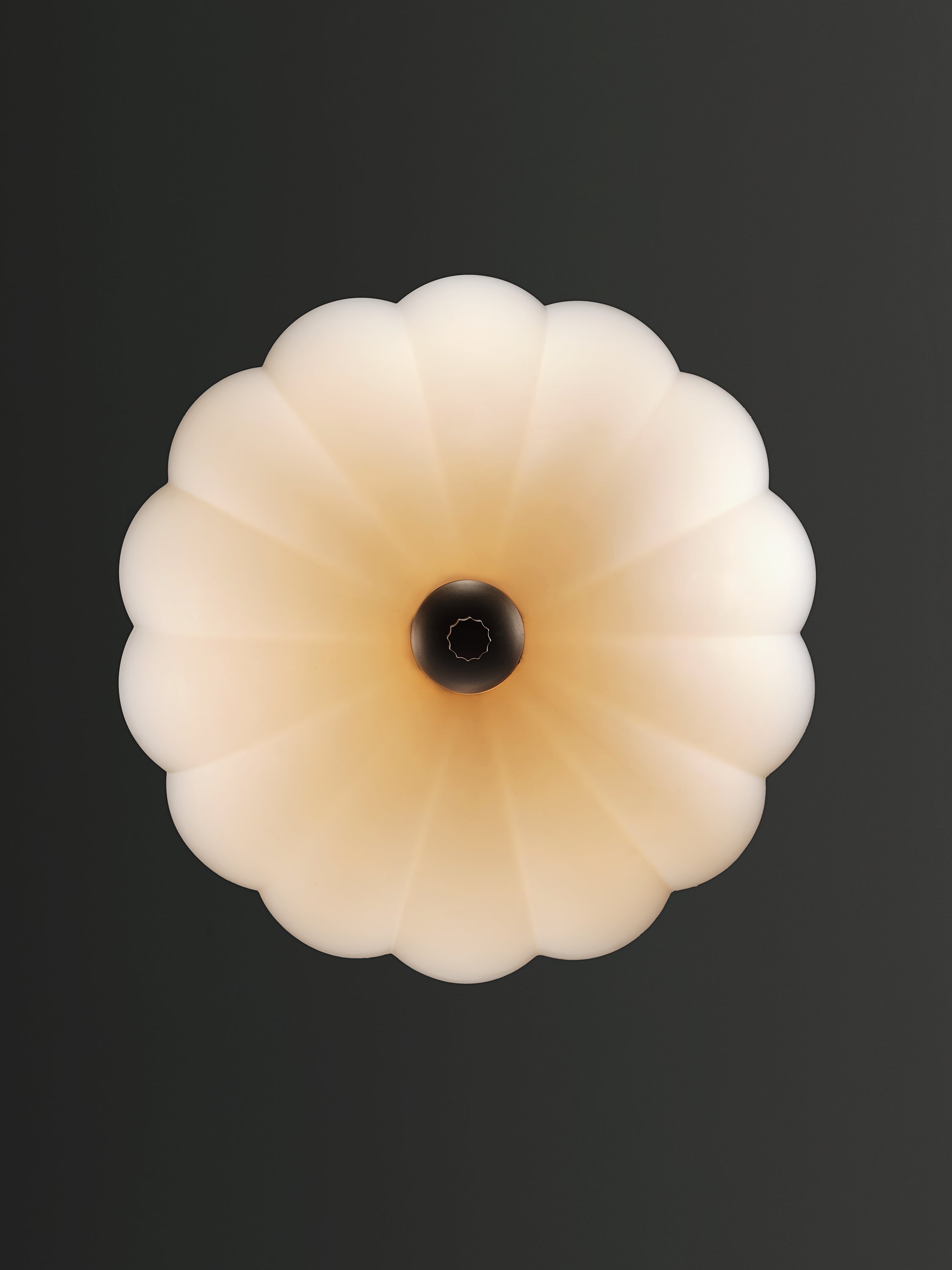 Norivaya Pendant Lamp