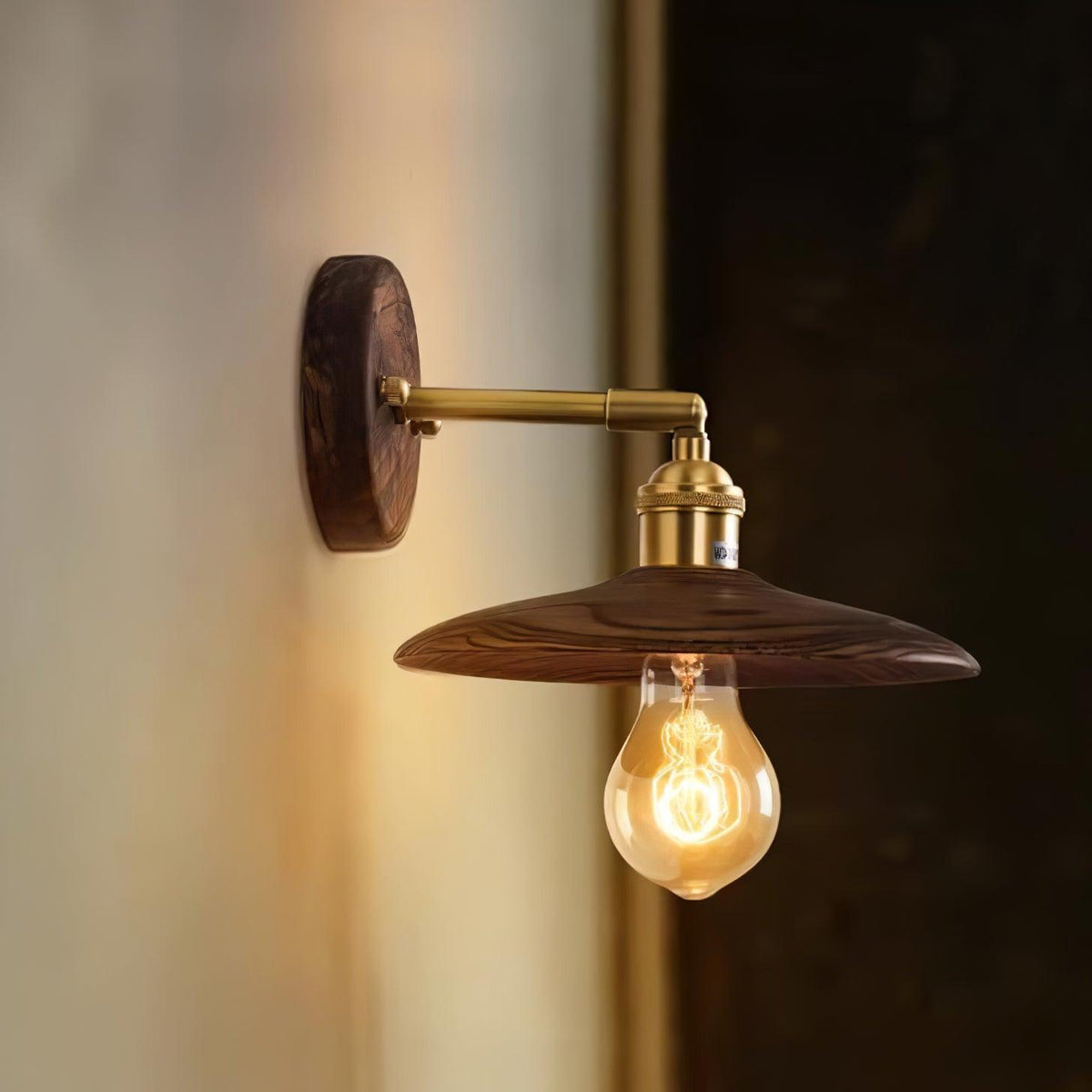 Auroelia Brass Rustic Wall Lamp