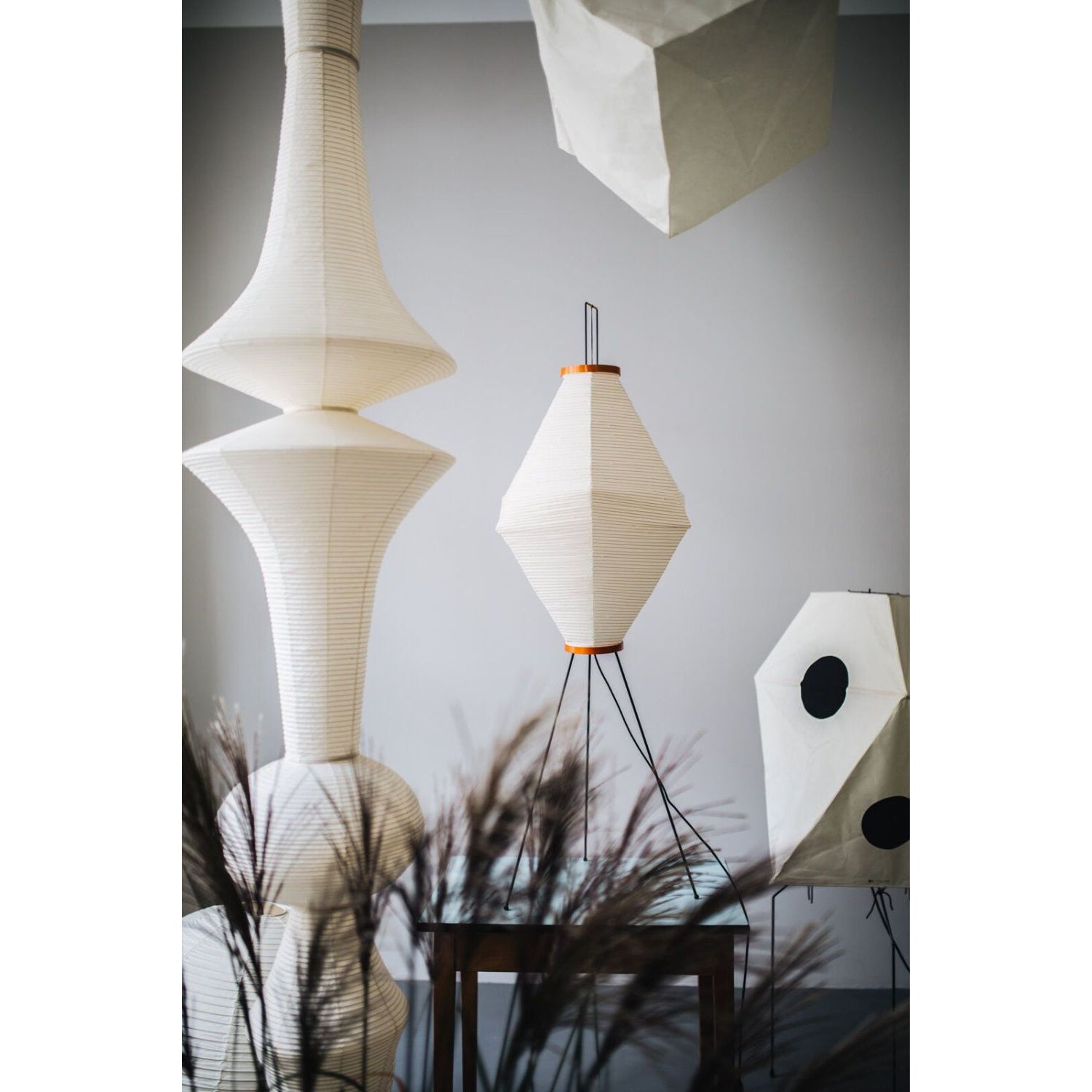 Oreliviella Pendant Light