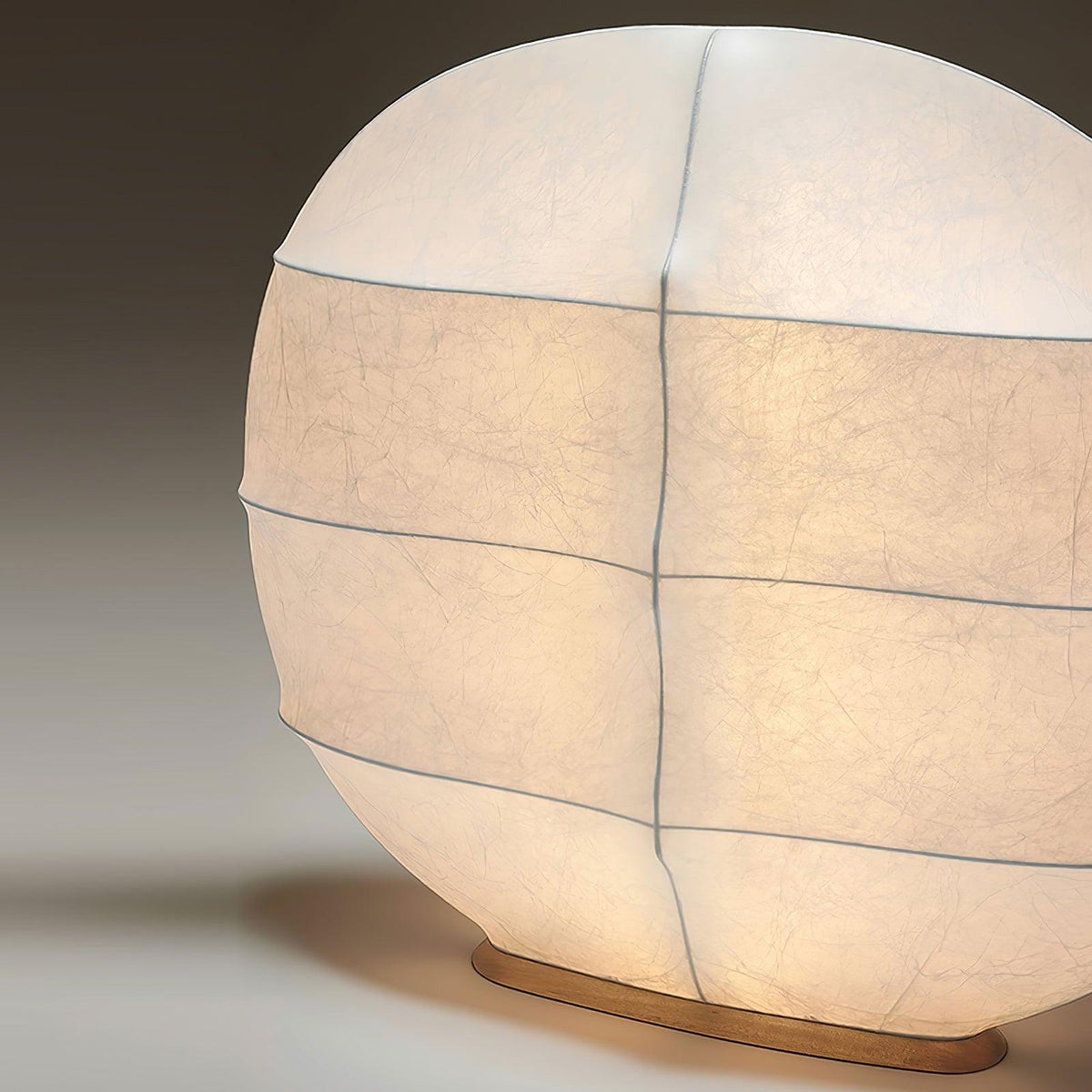 Lylaeos Organic Form Imitation Silk Wall Light