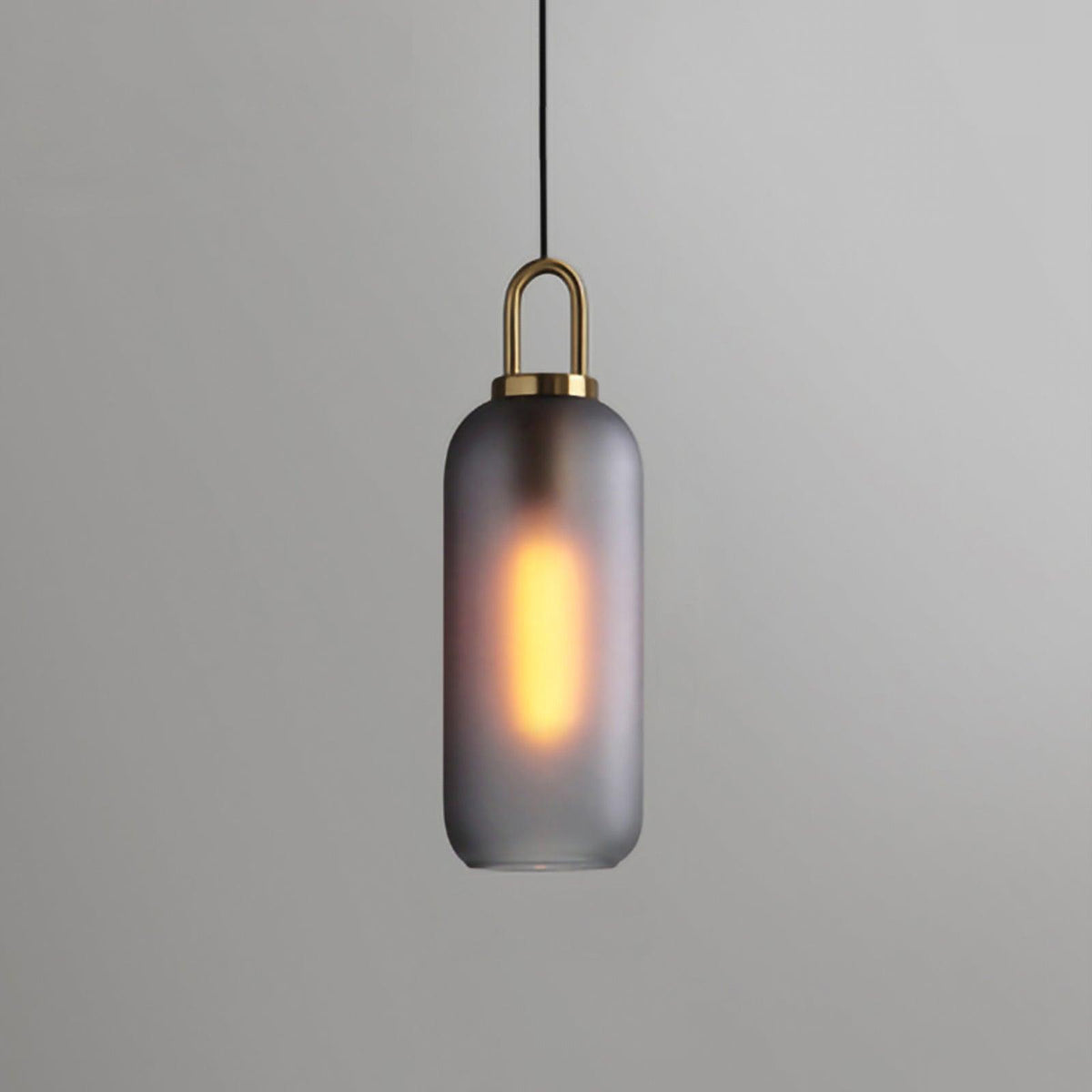 Sevelo Pendant Lamp Frosted Glass Swag Adjustable