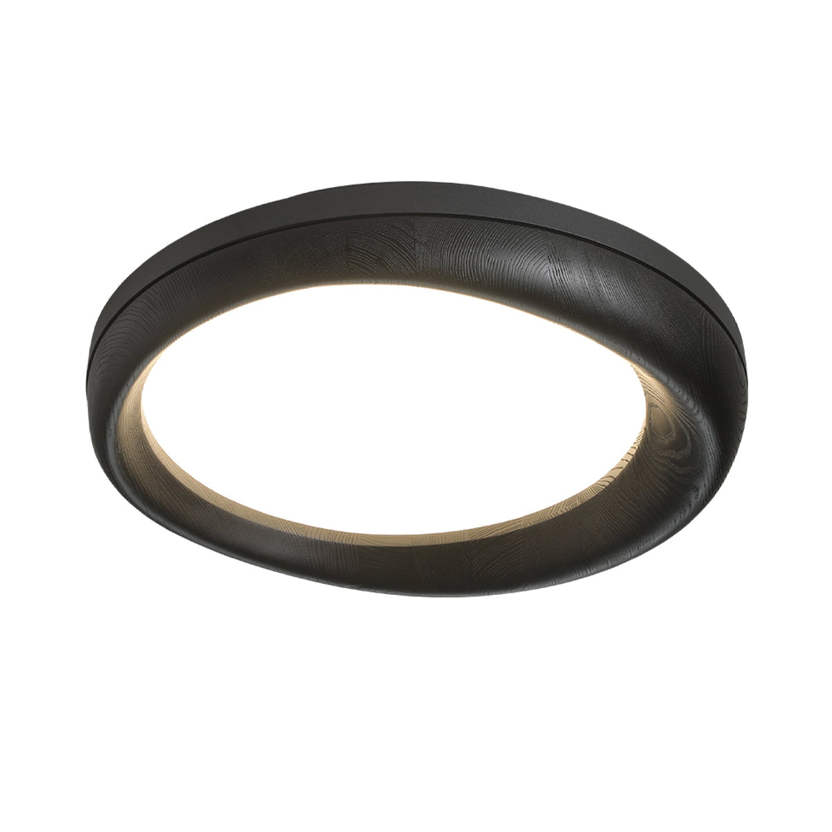 Eurtheara Organic Wood Glass Ceiling Light