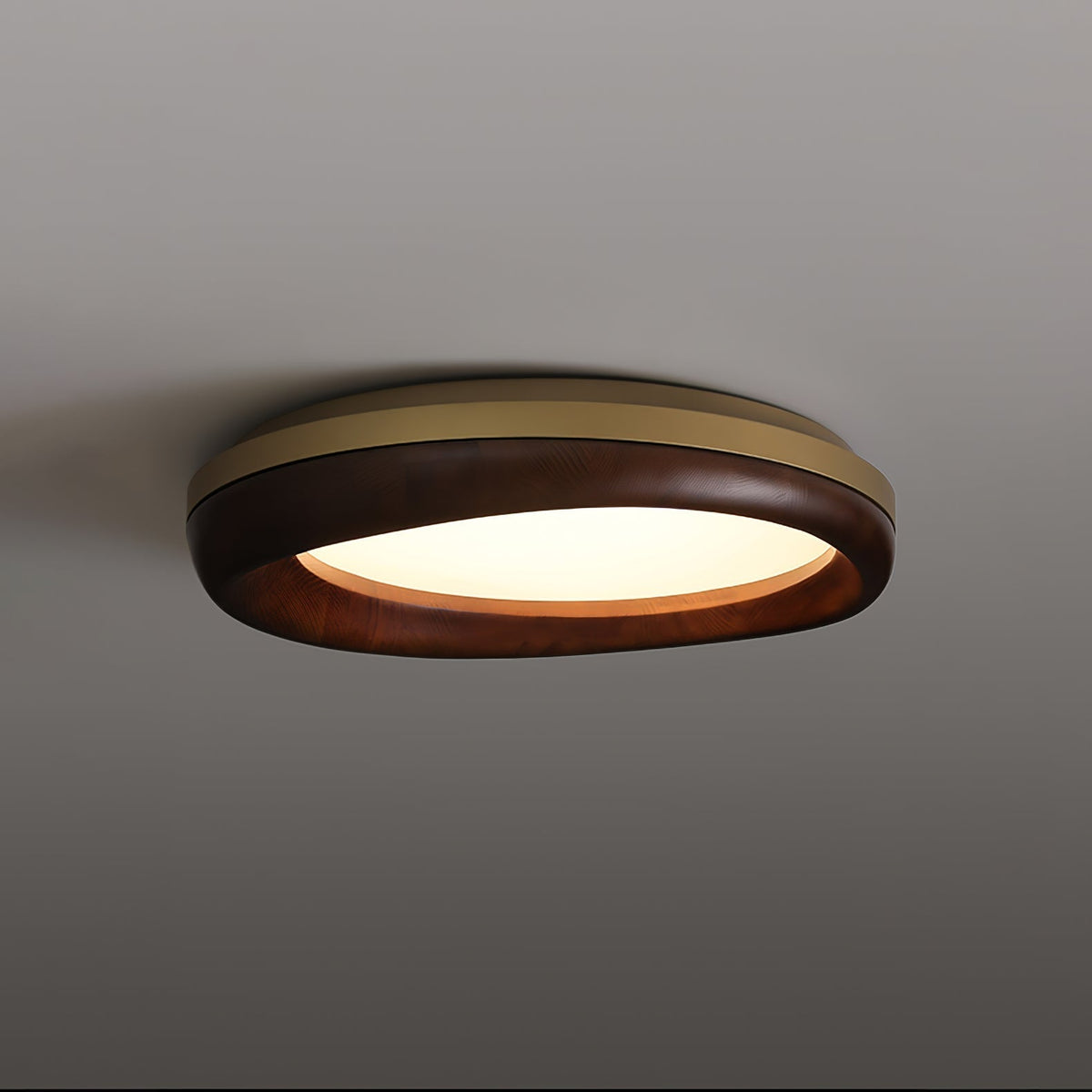 Eurtheara Organic Wood Glass Ceiling Light