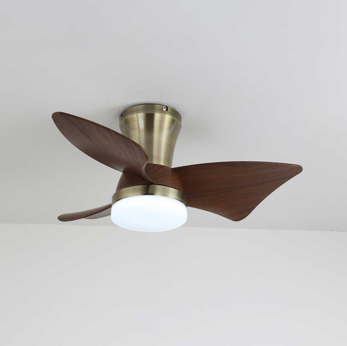 Aldivora Modern Wood Ceiling Fan Light