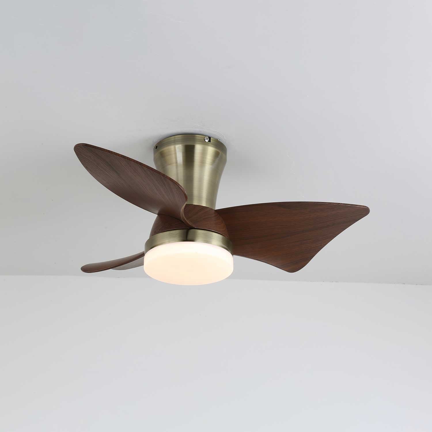 Aldivora Modern Wood Ceiling Fan Light