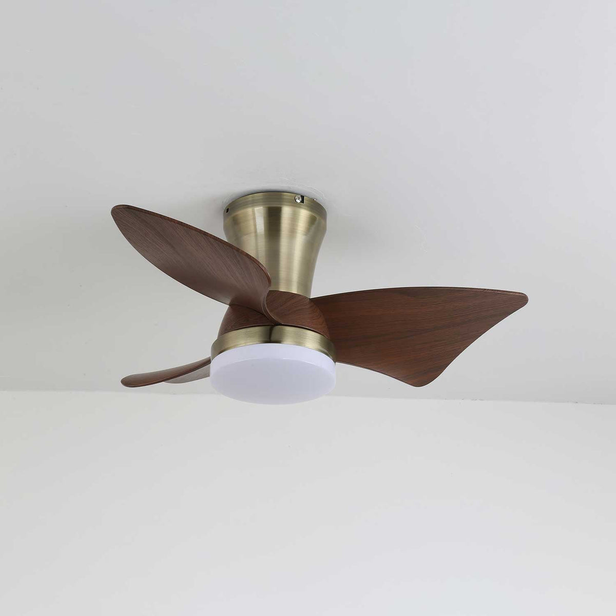 Aldivora Modern Wood Ceiling Fan Light