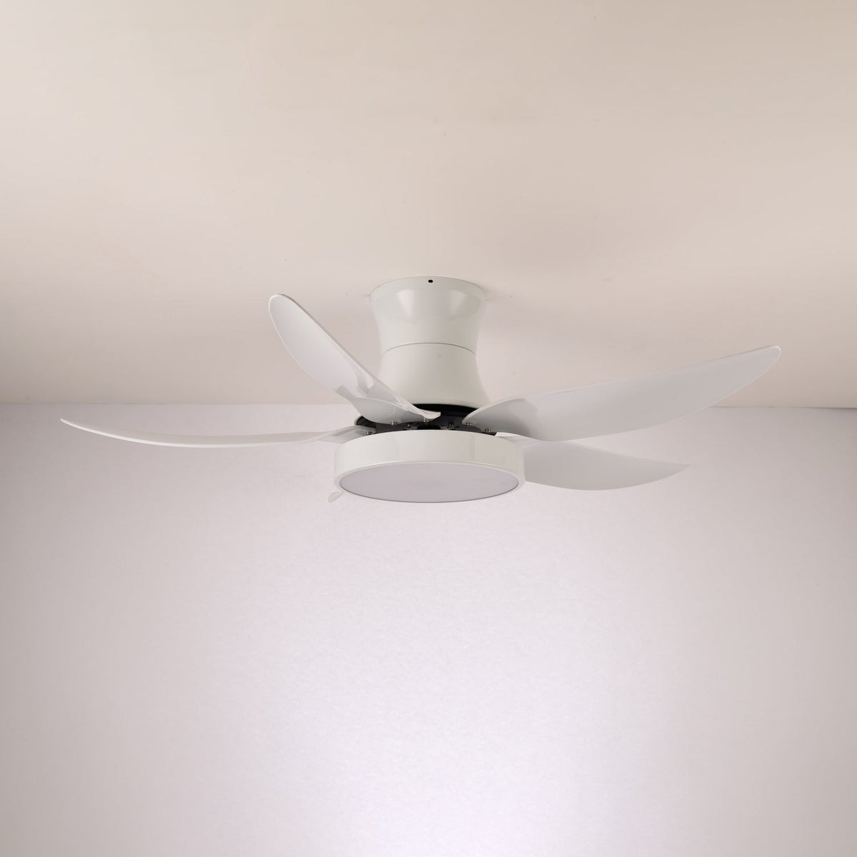 Jada Modern Black Ceiling Fan Light