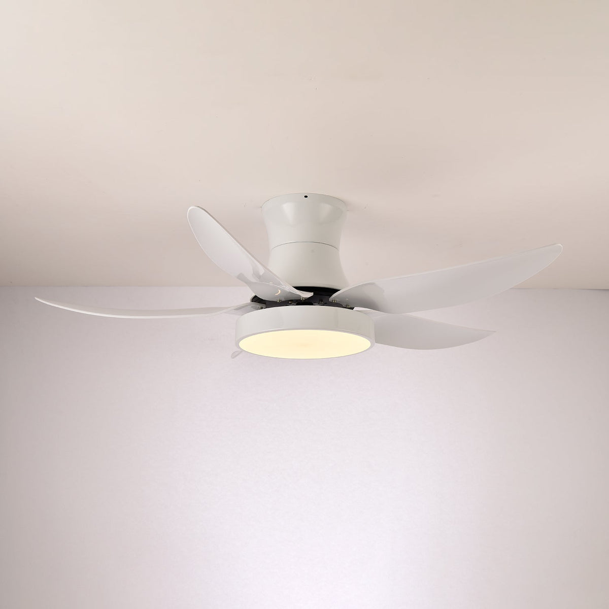 Jada Modern Black Ceiling Fan Light